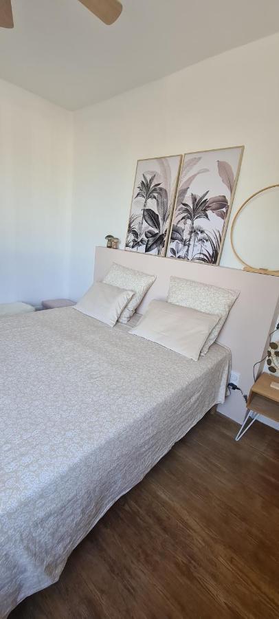 Maison De Ville Au Bord Du Lez, 170M2 Cosy. Bollène Exteriér fotografie