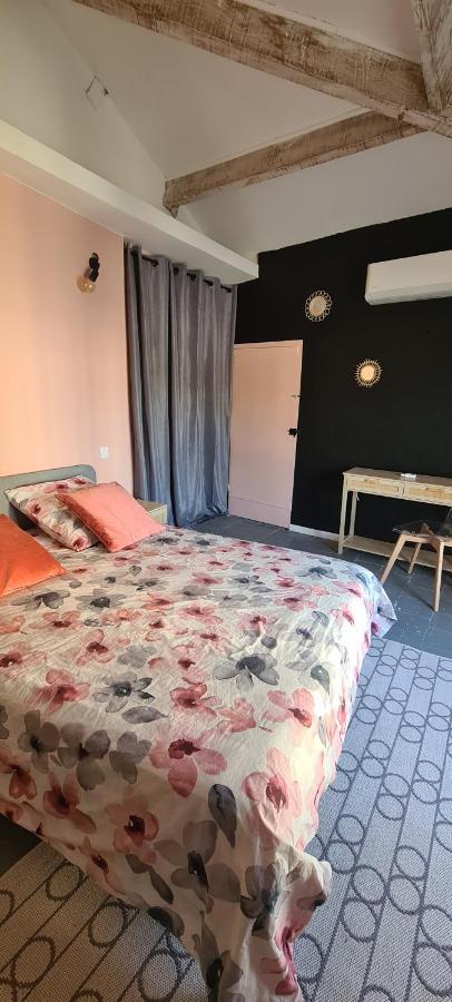 Maison De Ville Au Bord Du Lez, 170M2 Cosy. Bollène Exteriér fotografie